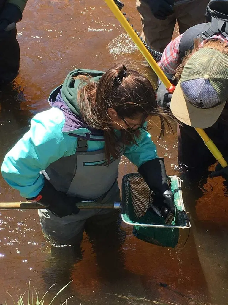 people standing in stream