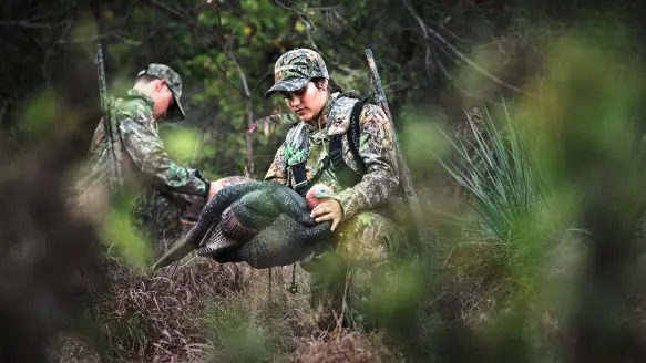 Photo of turkey hunters setting up decoys while holding Mossberg 500 shotguns