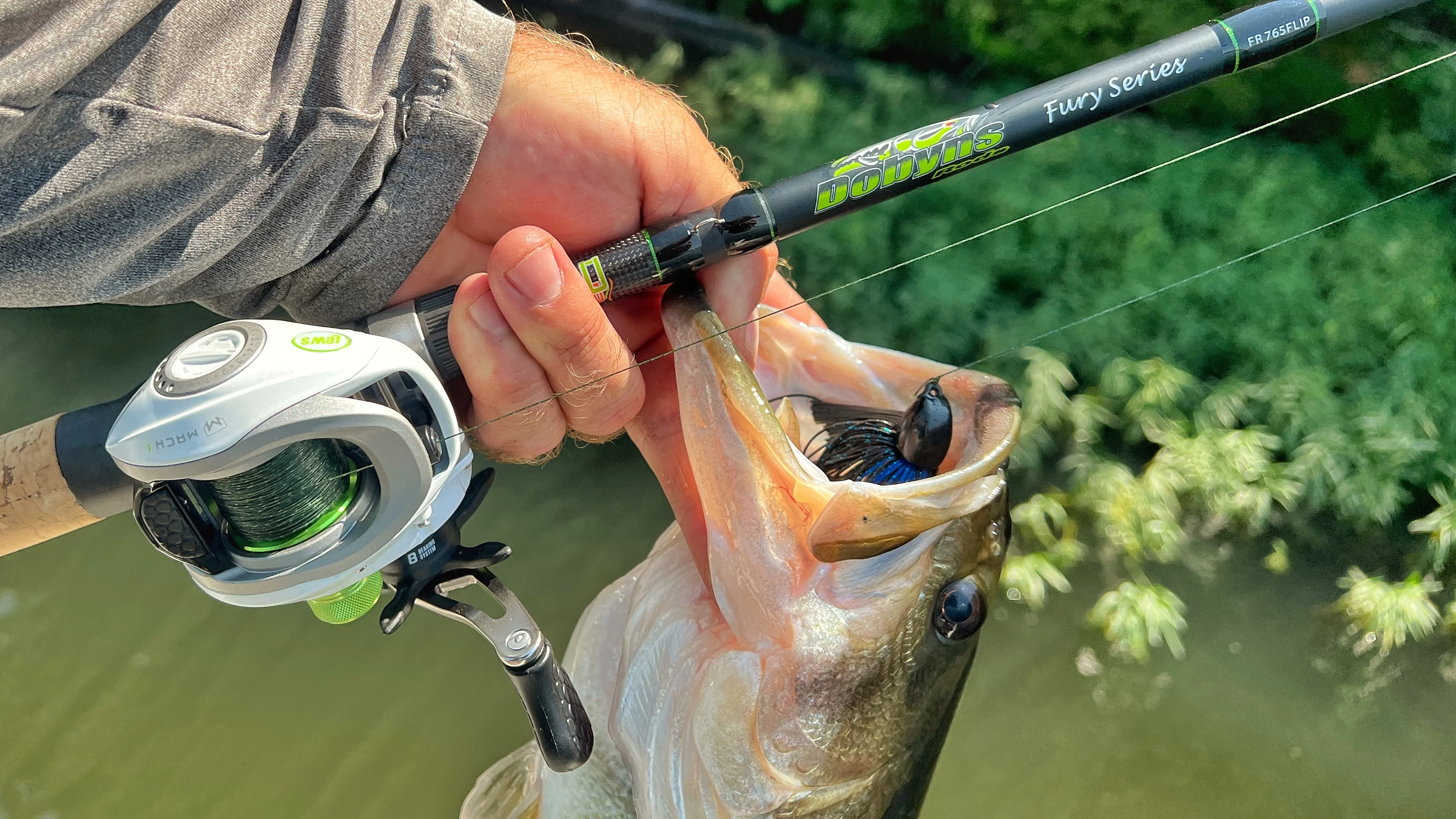 Fisherman's hand holding largemouth bass and rod and reel in one hand