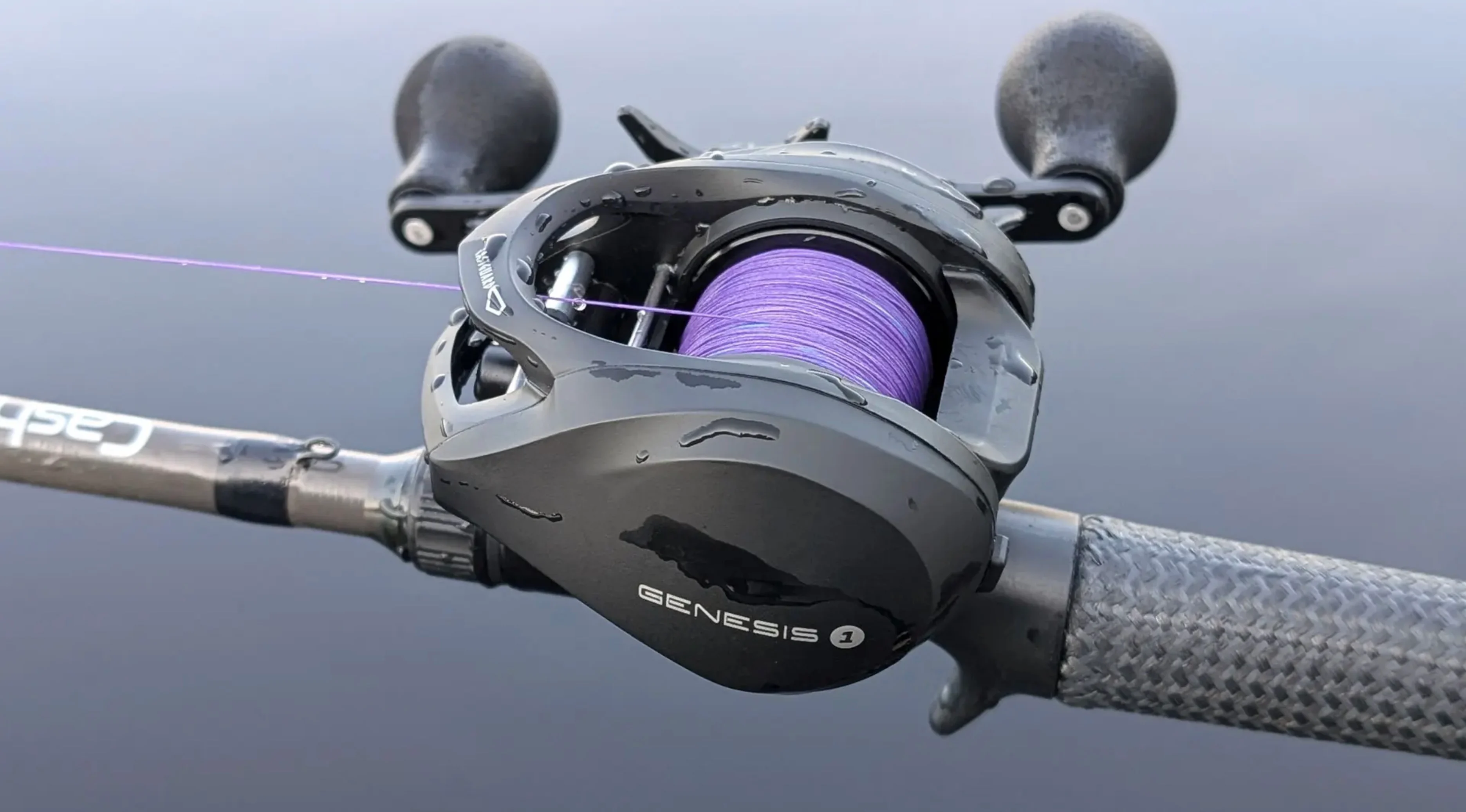 Svivlo Genesis One