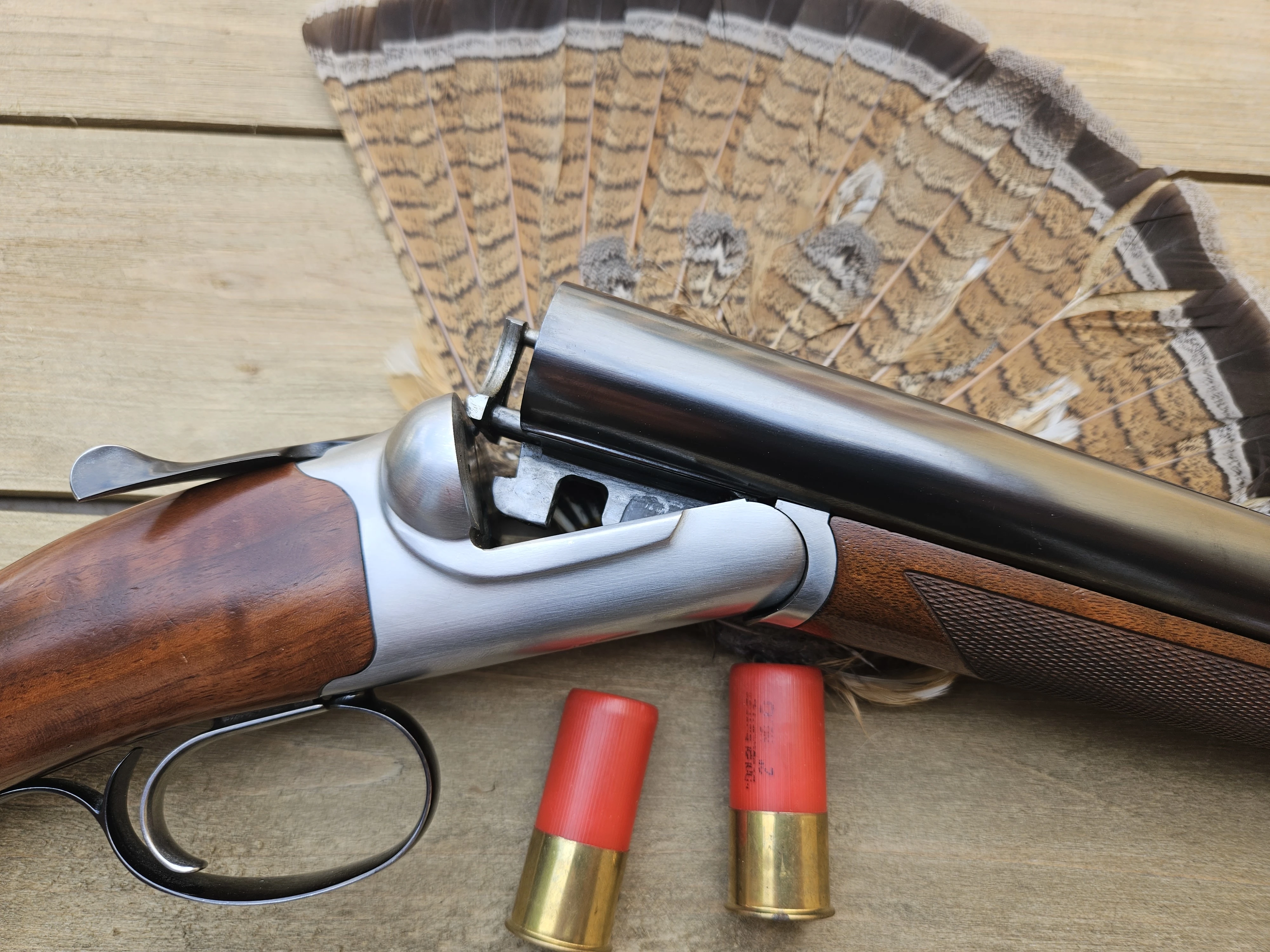 A Ruger Gold Label side-by-side shotgun with two shotgun shells and a grouse tail-fan.