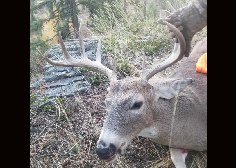 A hunter poses with a 10-point buck taken in Montana. 