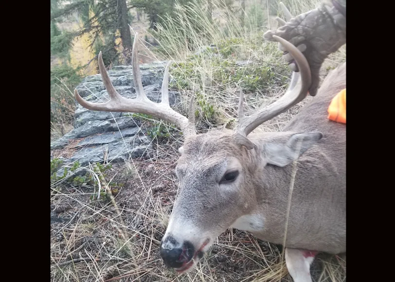 A hunter poses with a 10-point buck taken in Montana.