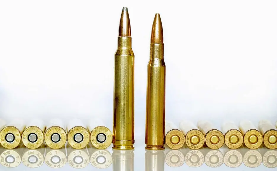 .30/06 vs. .300 Win Mag