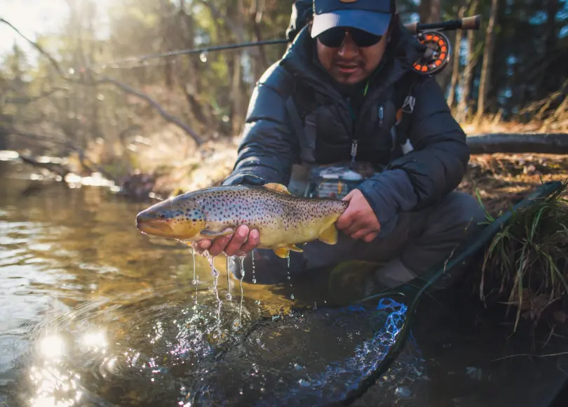 fisherman holding a brown trout with a fly rod on his back.