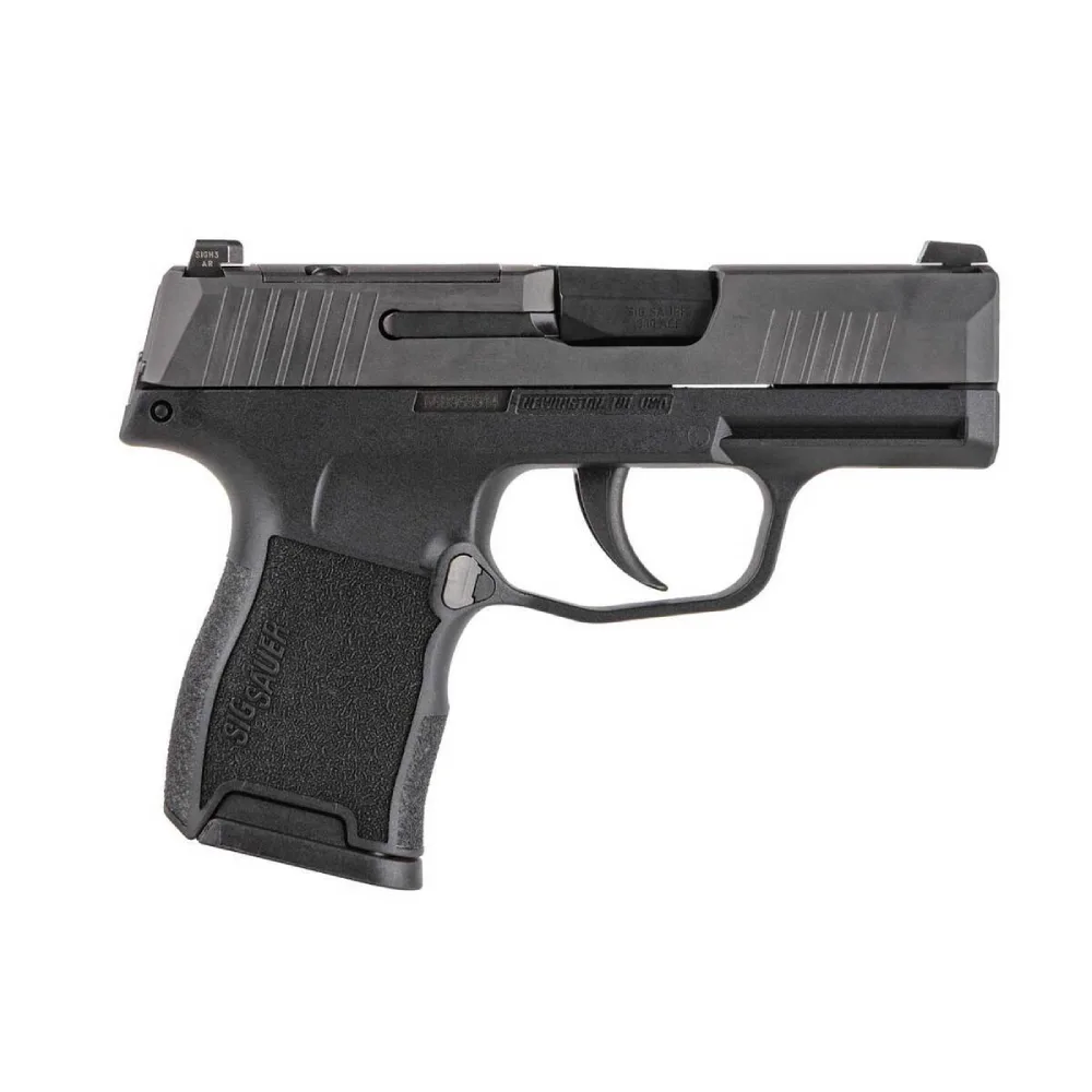 Sig Sauer P365 Pistol