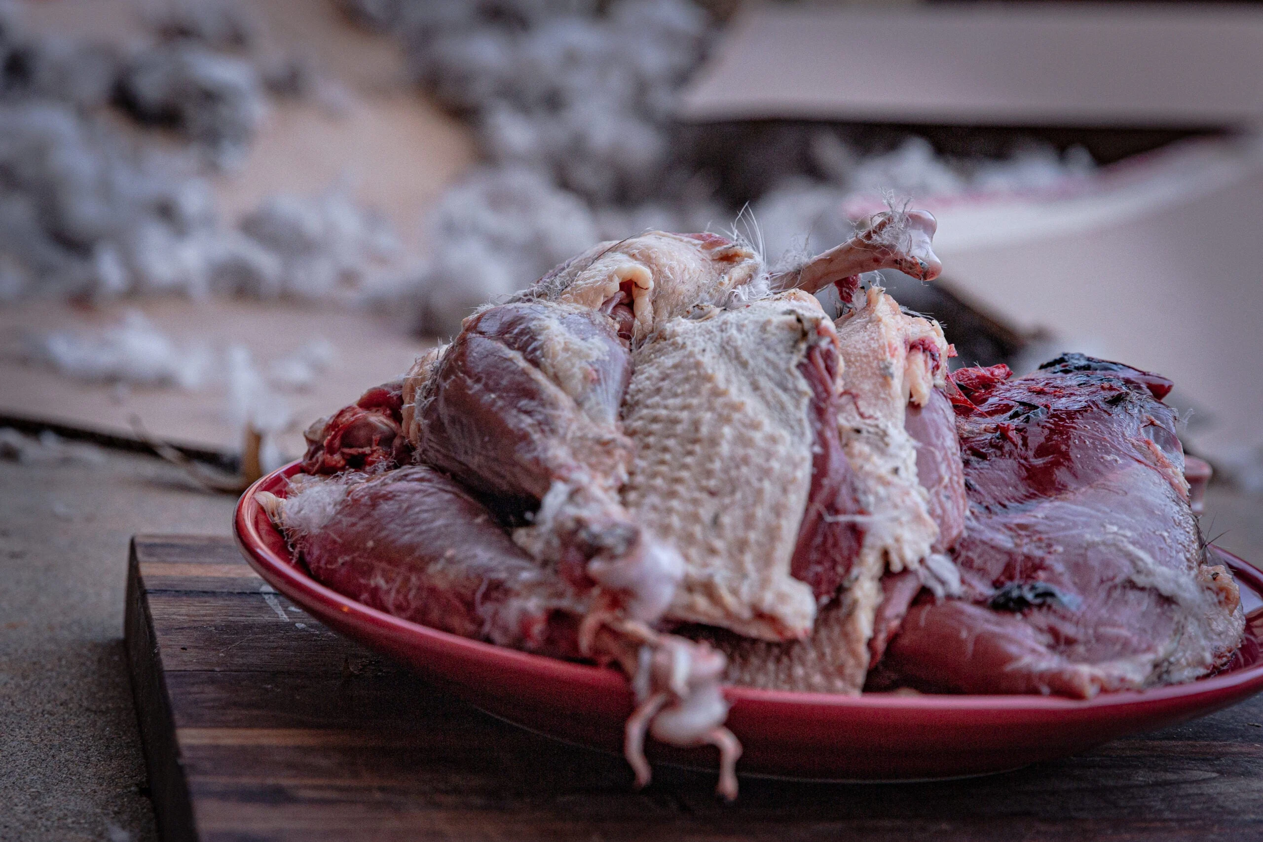 A plate of wild goose meat that his been plucked.