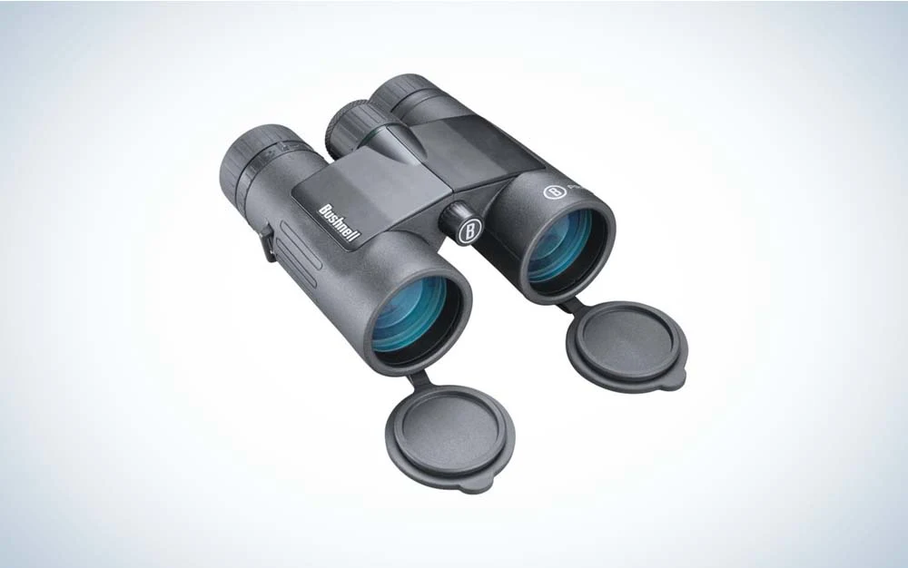 Binoculars photo