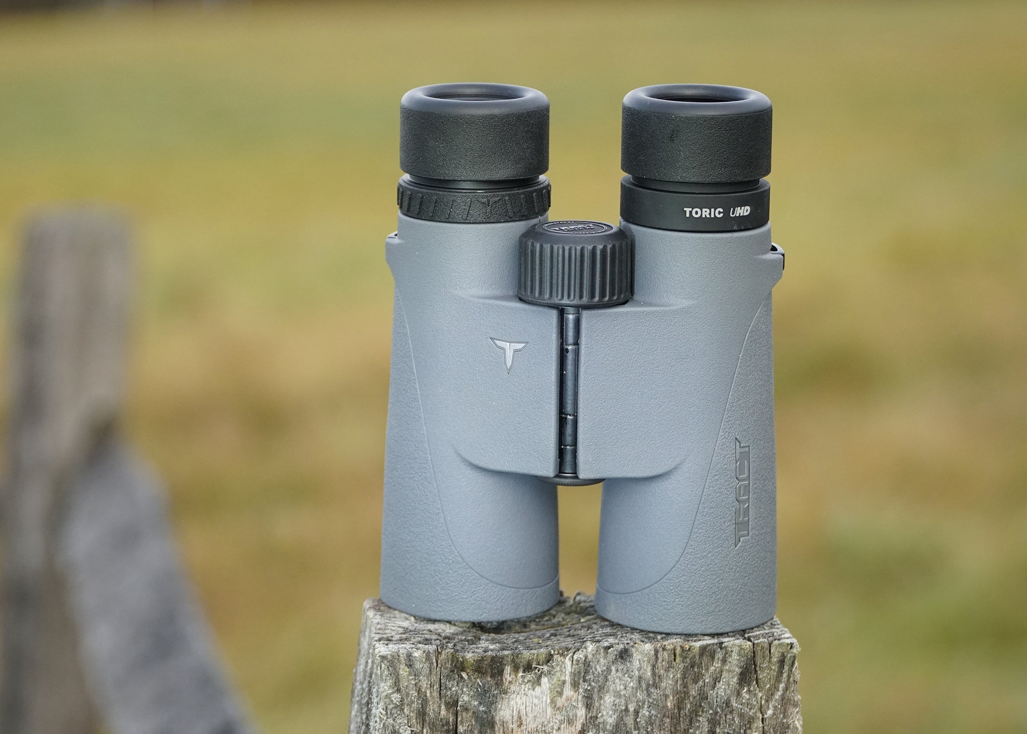 Toric binoculars orders