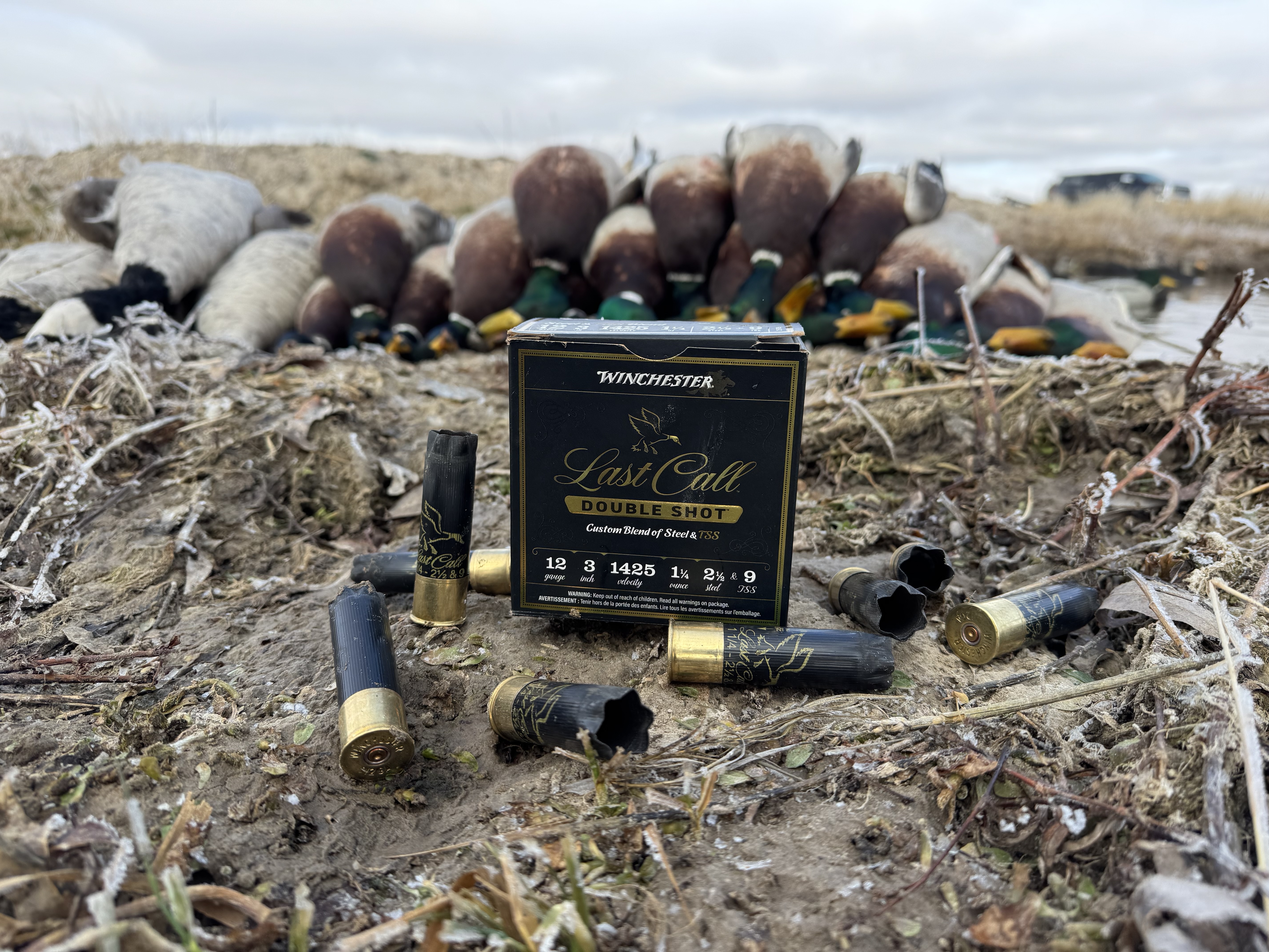 Winchester Last Call Double Shot in front of mallards