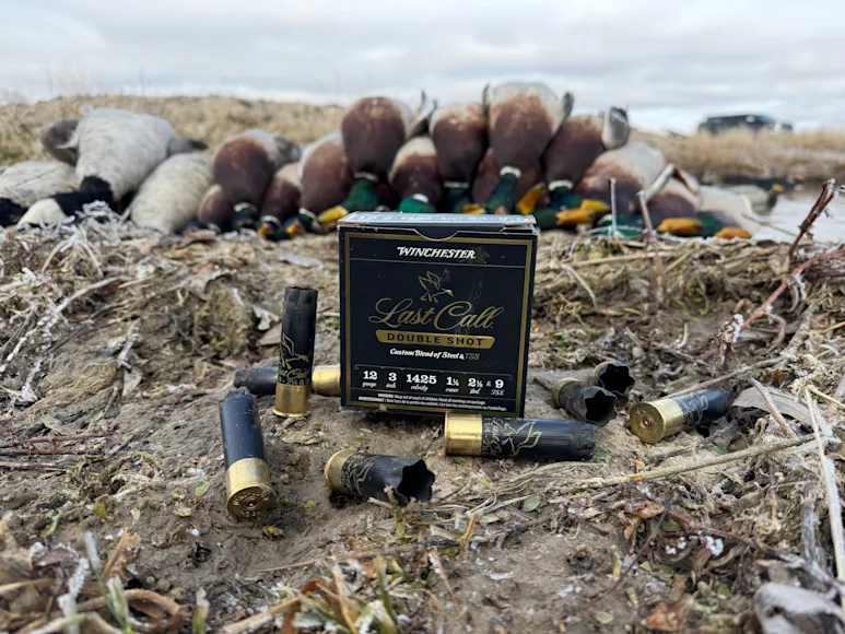 Winchester Last Call Double Shot in front of mallards