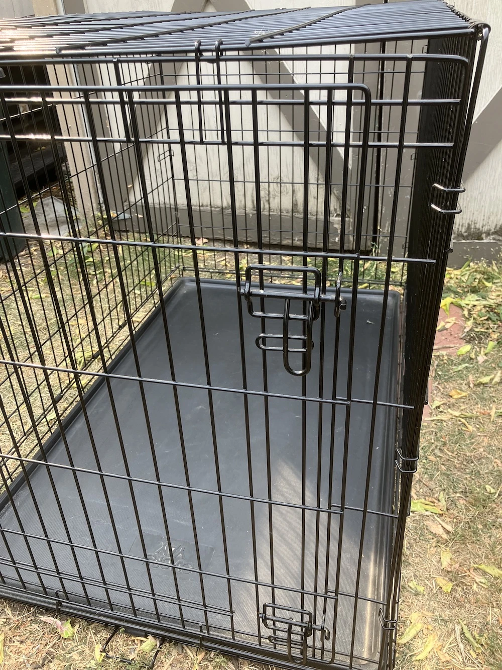 EveryYay Going Places Dog Crate during testing