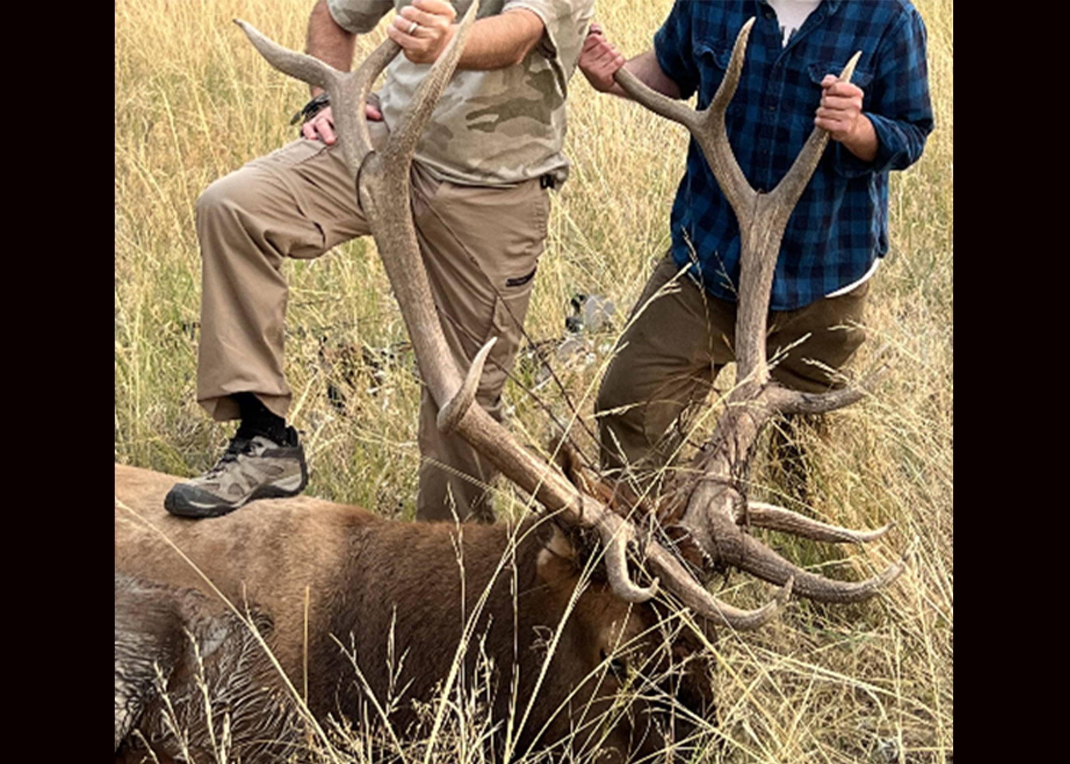 Poachers pose with an illegally killed bull elk. 
