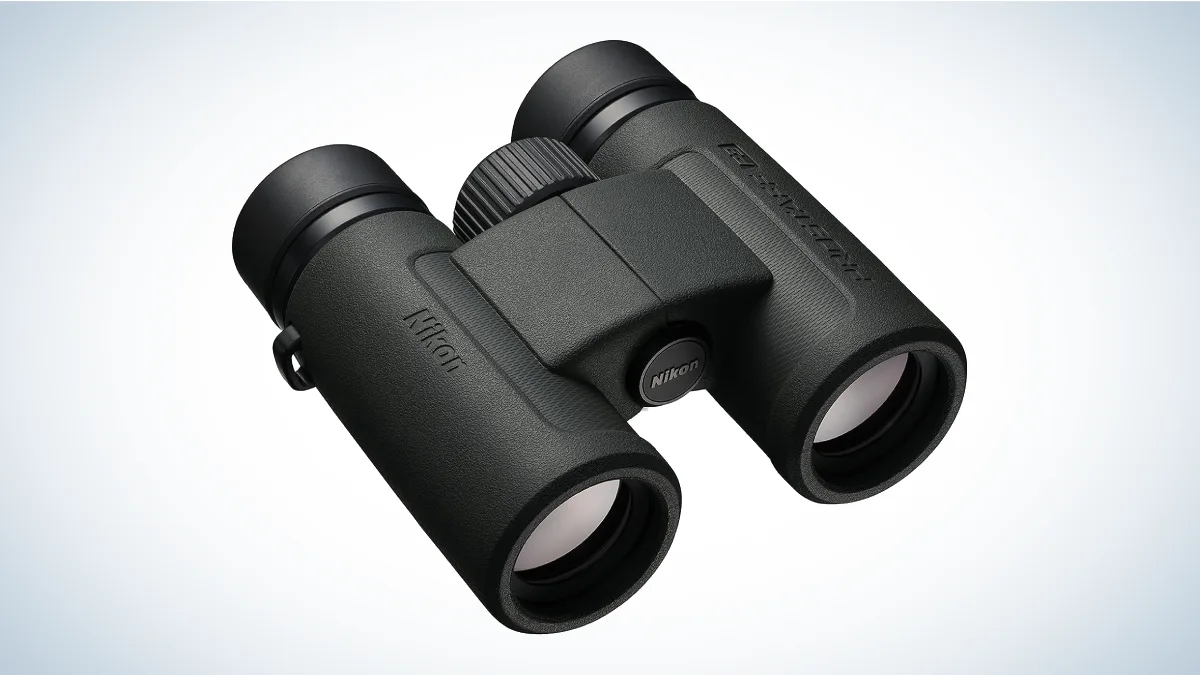 Best Hiking Binoculars: Nikon Prostaff P3 10x30 Binocular