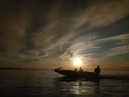 photo of night bass fishing