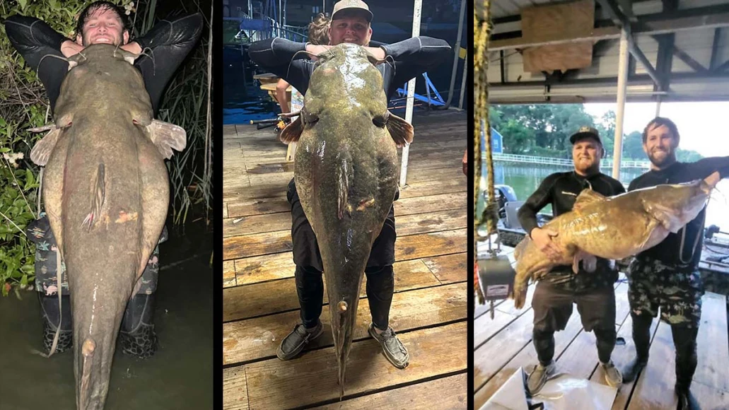 young men hold giant catfish