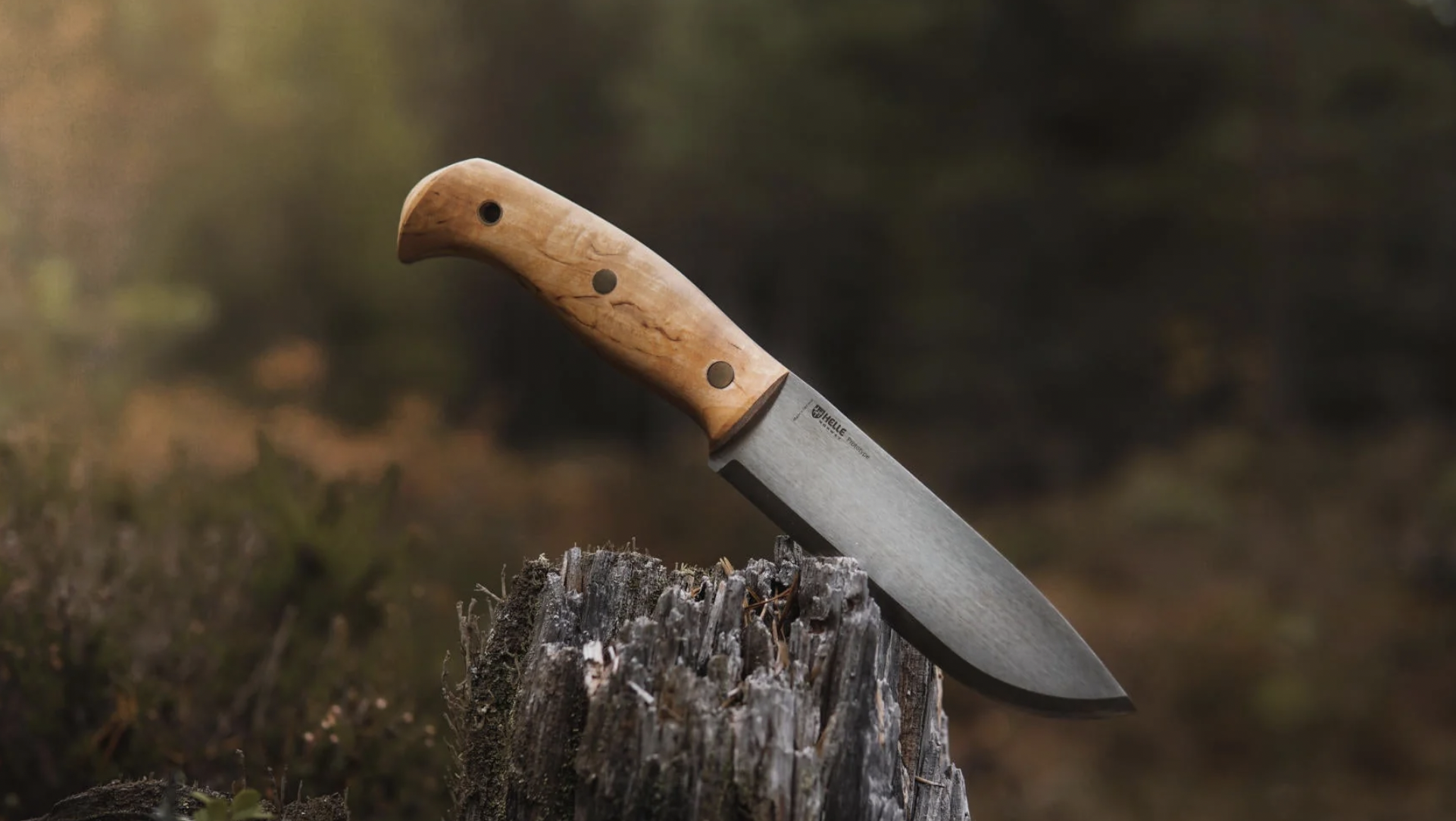 The Helle Nord full-tang bushcraft knife, stuck into a stump. 