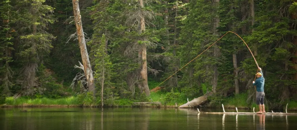 still-water fishing