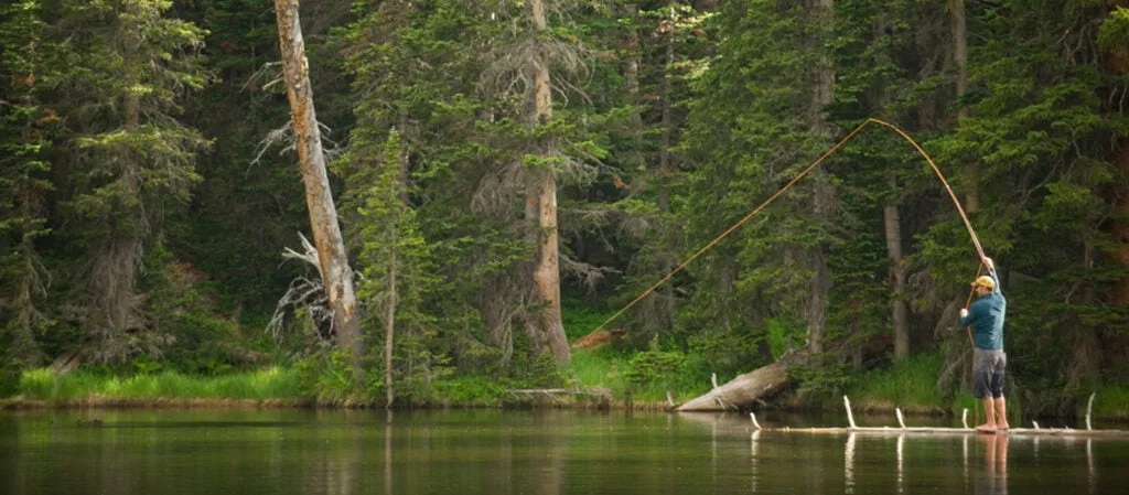 still-water fishing