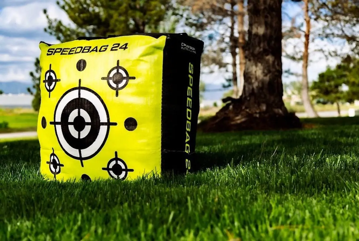 Delta McKenzie Speedbag 24 target sitting on grass