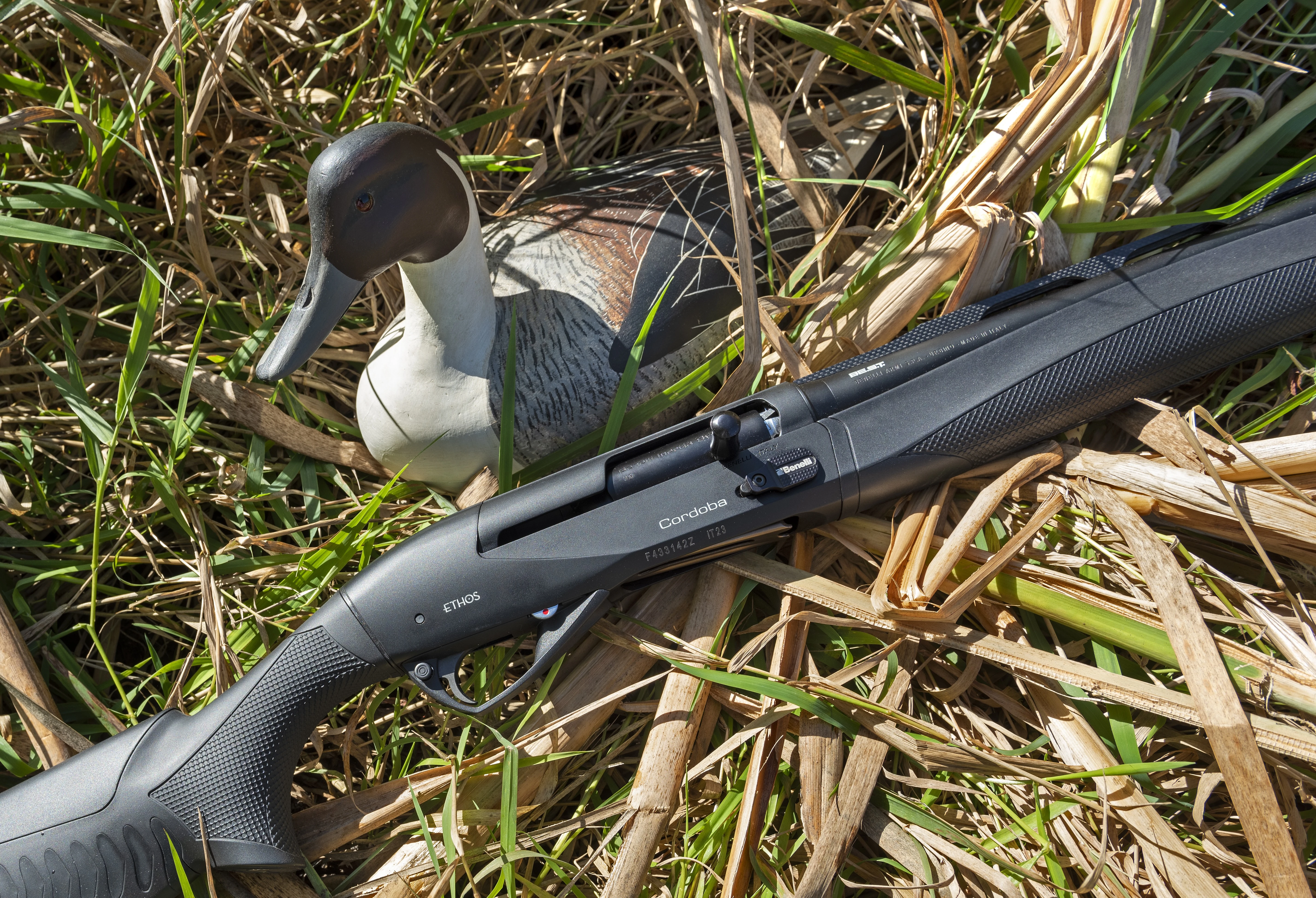 Benelli Performance Shop Ethos Cordoba A.I. BE.S.T. shotgun in grass with a duck decoy. 