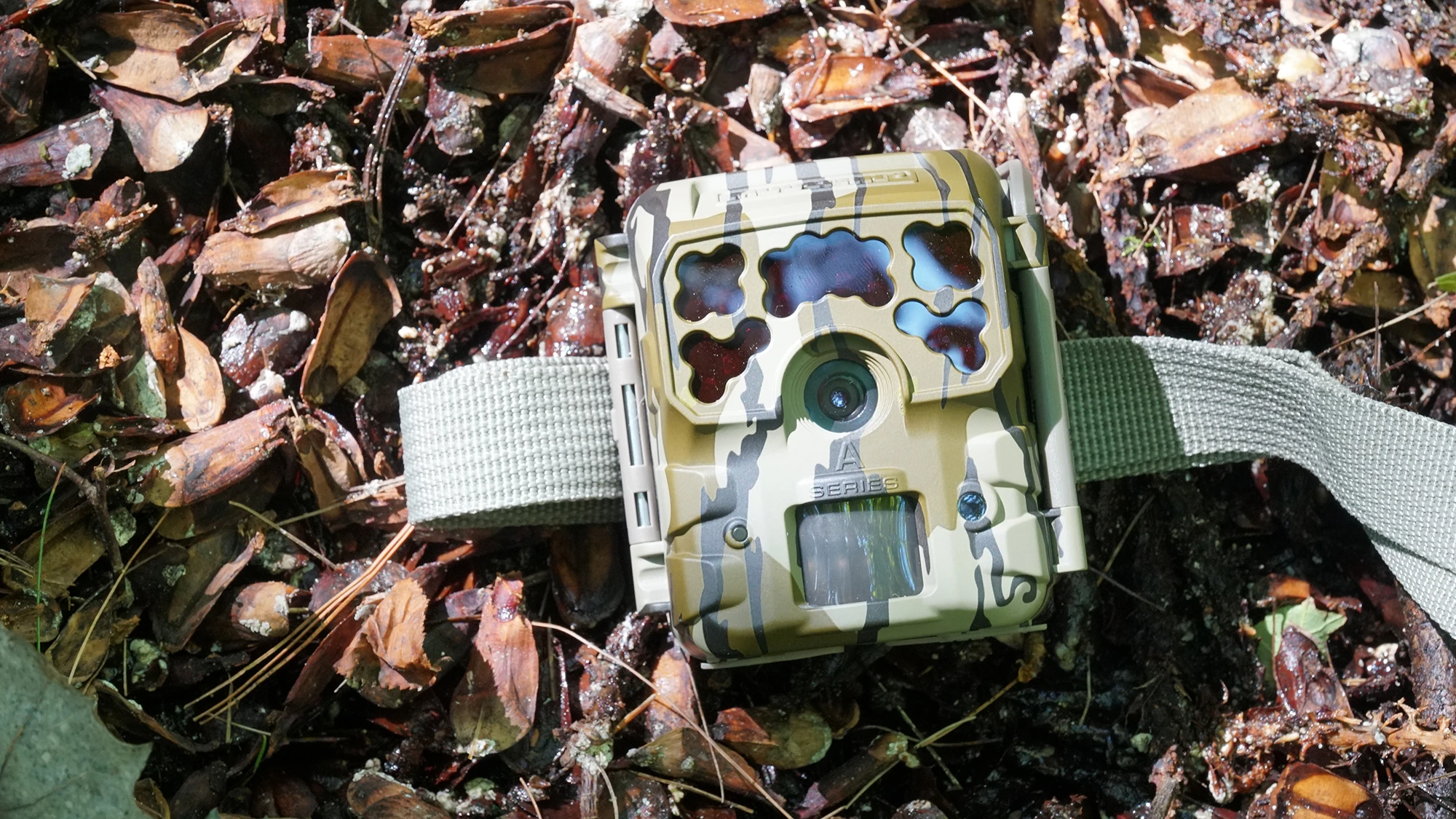 Moultrie Micro 420-i trail camera lying on the forest floor. 