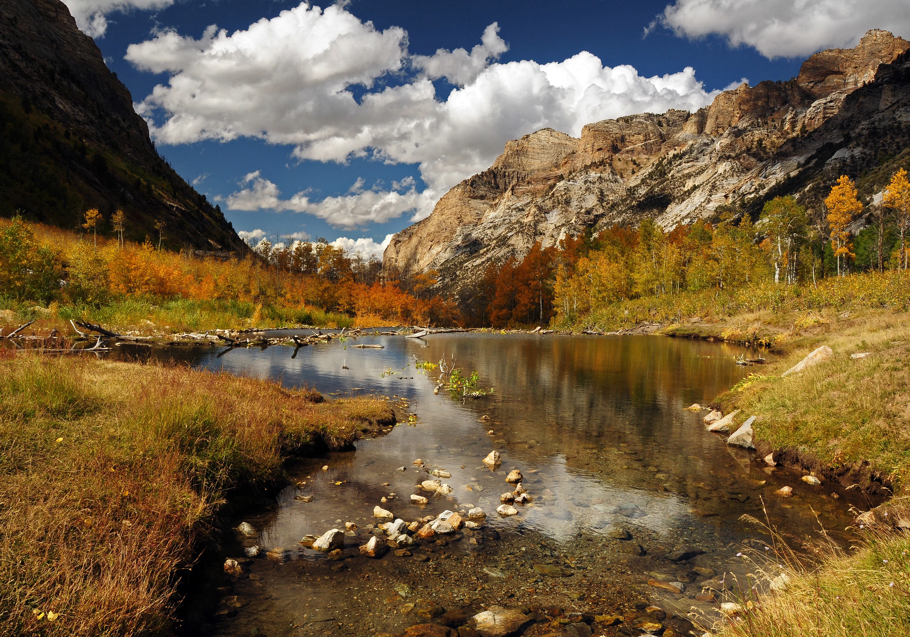 Nevada's Humboldt-Toiyabe National Forest contains approximately 63,000 acres of inventoried roadless areas.