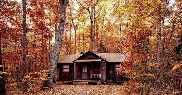 A log cabin in the woods during the fall.