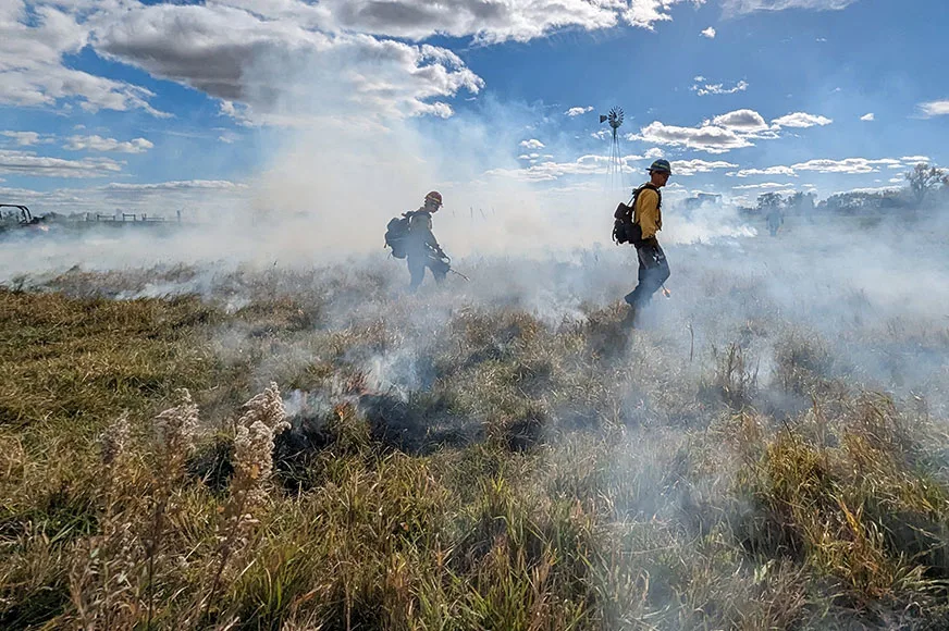Forestry technicians engage in prescribed burning on U.S. National Grasslands.