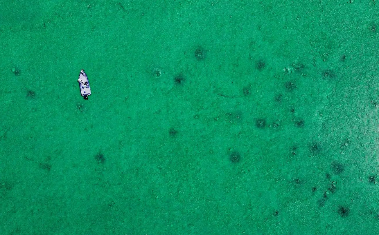 An aerial view of bass beds and a fishing boat on the bottom of a shallow lake