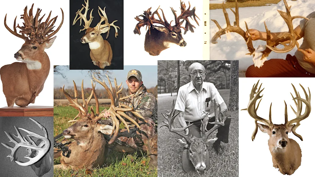 A collage of photographs of some of the biggest non-typical whitetail deer ever.