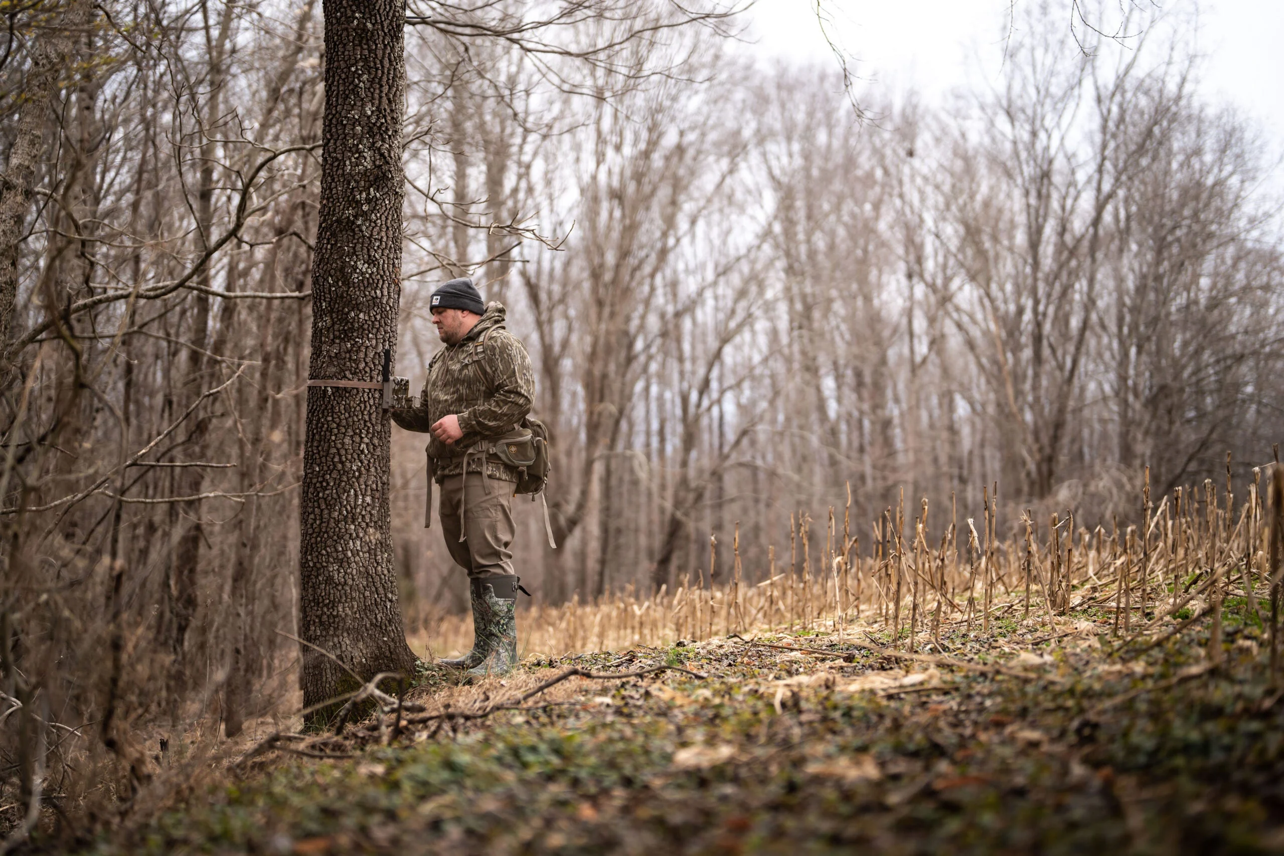 A hunter checks a trail camera at the edge of the woods near a cornfield