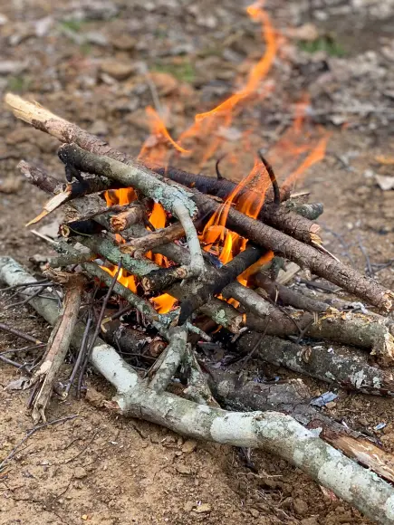 Flames burn in a campfire built from a collection of logs and sticks formed in a teepee.