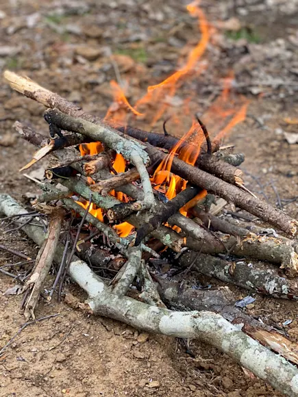 Flames burn in a campfire built from a collection of logs and sticks formed in a teepee.