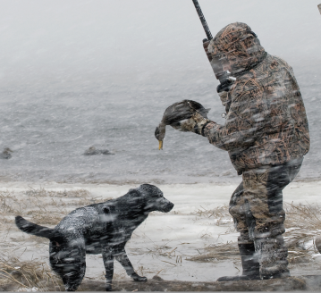 A waterfowl hunter holds a black duck taken during a snowstorm. 