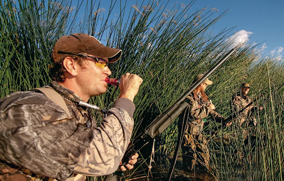 Three teal duck hunters sand agains reeds in a levee