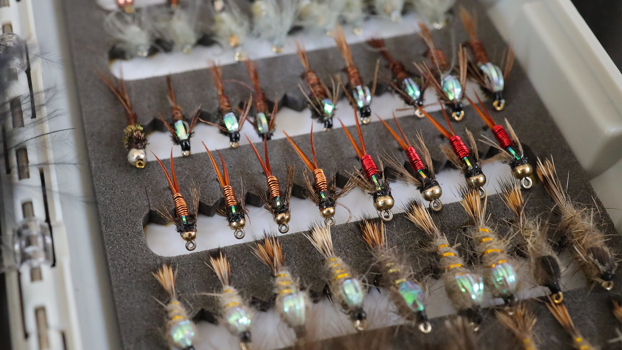 phone of a box full of fly fishing nymphs