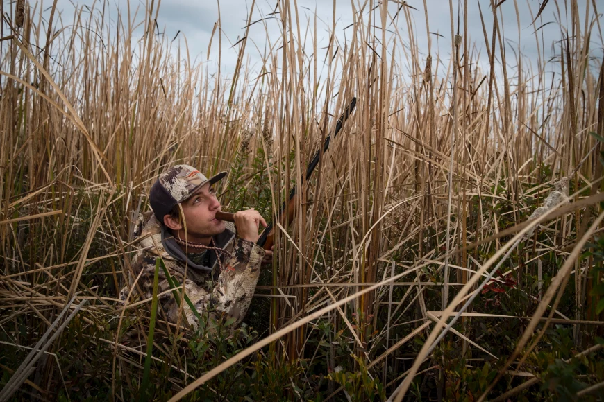 Hunter blowing a duck call while hiding in the reeds