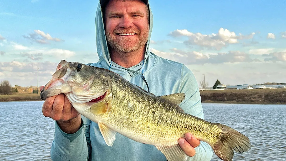 photo of largemouth bass