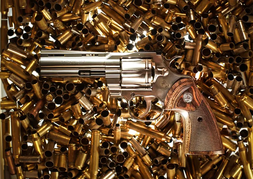 Colt Python on brass shells.