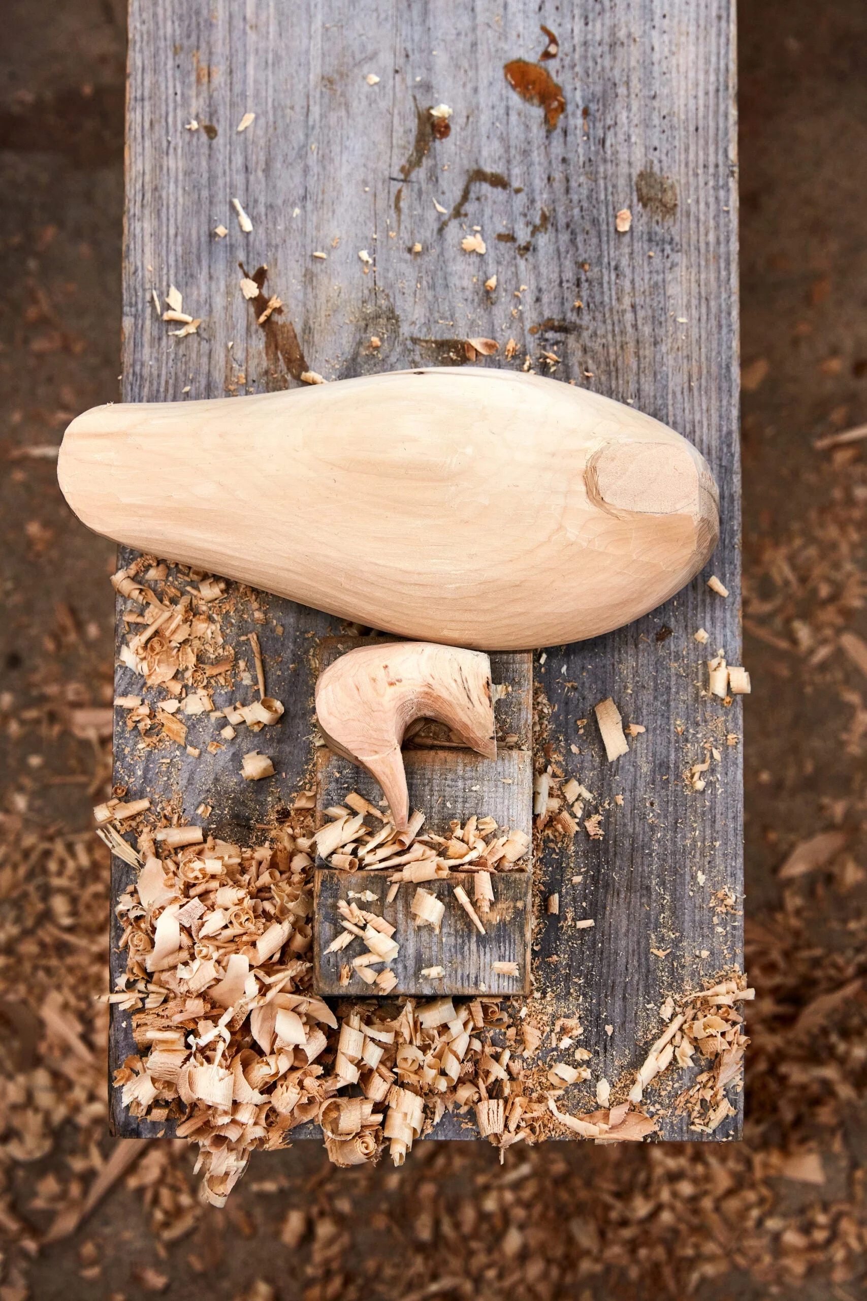 A teal decoy in progress on a chair maker’s bench—an age-old workbench design likely passed down from European colonists. The stepped block gives the carver something to brace a decoy against while carving.