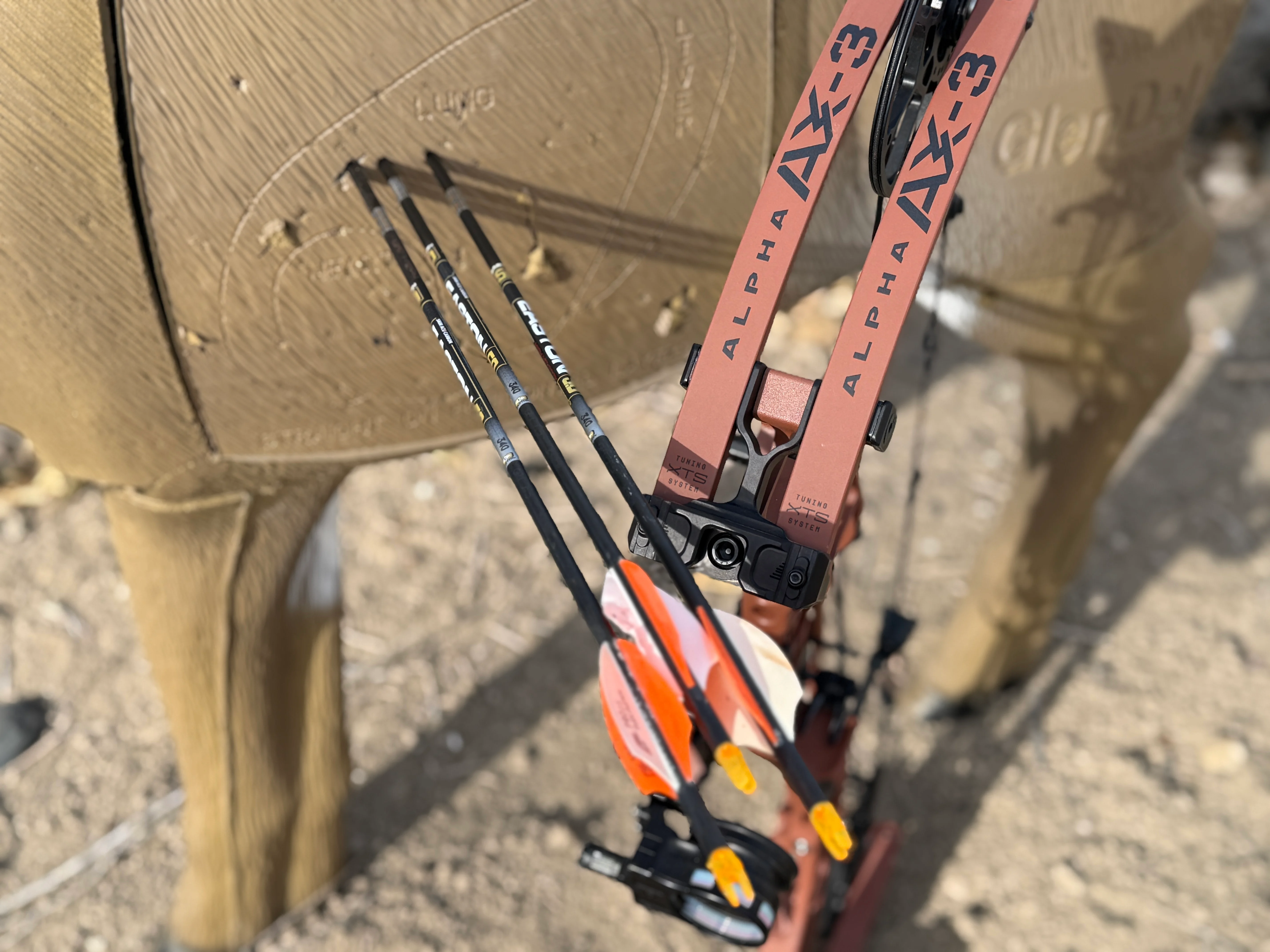 A tight group of three arrows shot into a 3D target with the new Hoyt Alpha X-3