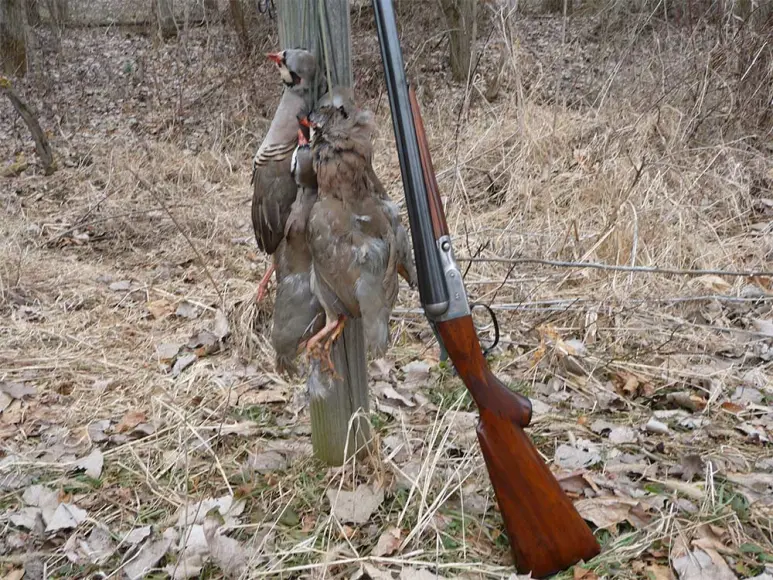 httpswww-fieldandstream-comsitesfieldandstream-comfilesimages201904oaksie-parker-vh-shotgun-jpg