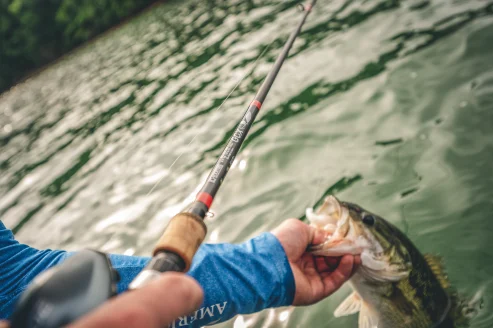 Fisherman leans over boat while lipping a bass and holding a fishing rod in the other hand