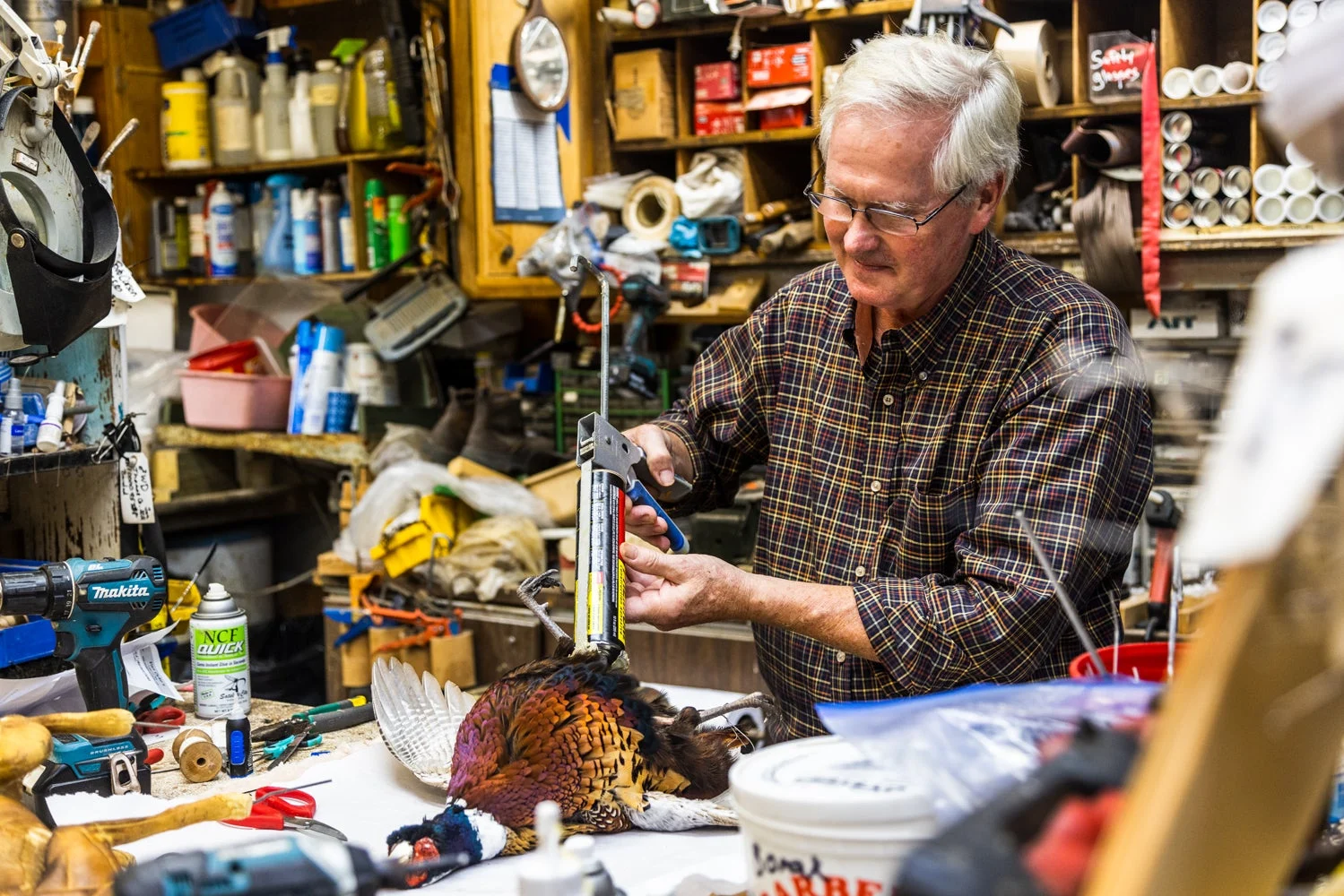 Taxidermist using caulk to stuff a bird.