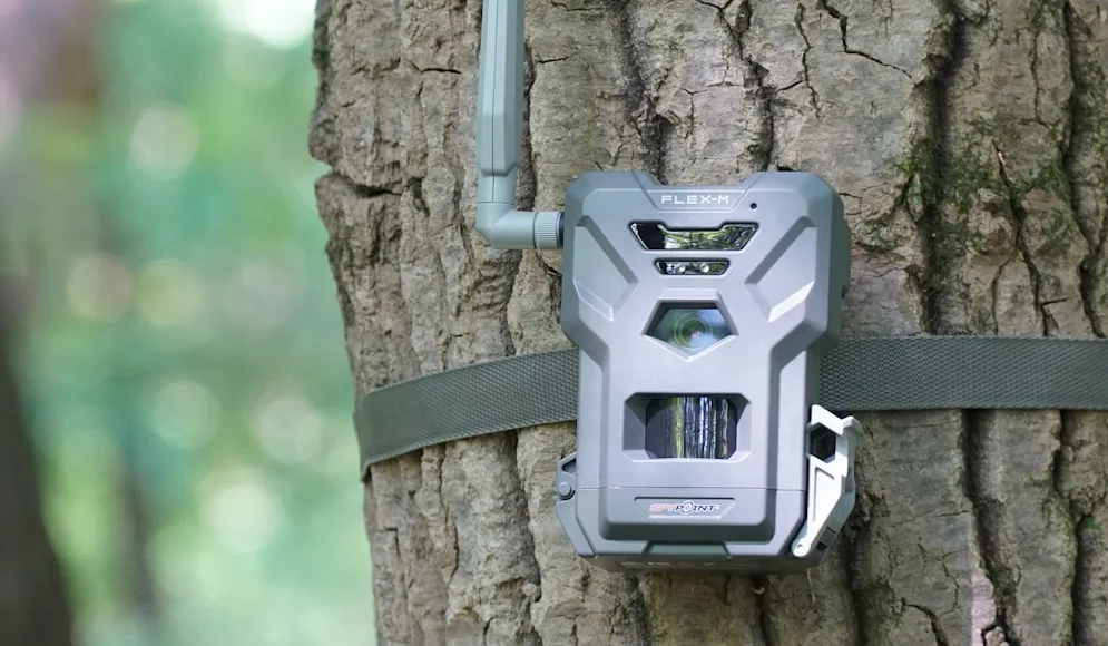 The new Spypoint Flex-M cellular trail camera attached to a tree.