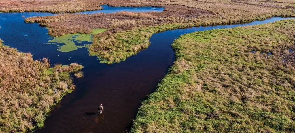 tony peterson bowhunting swamp public land