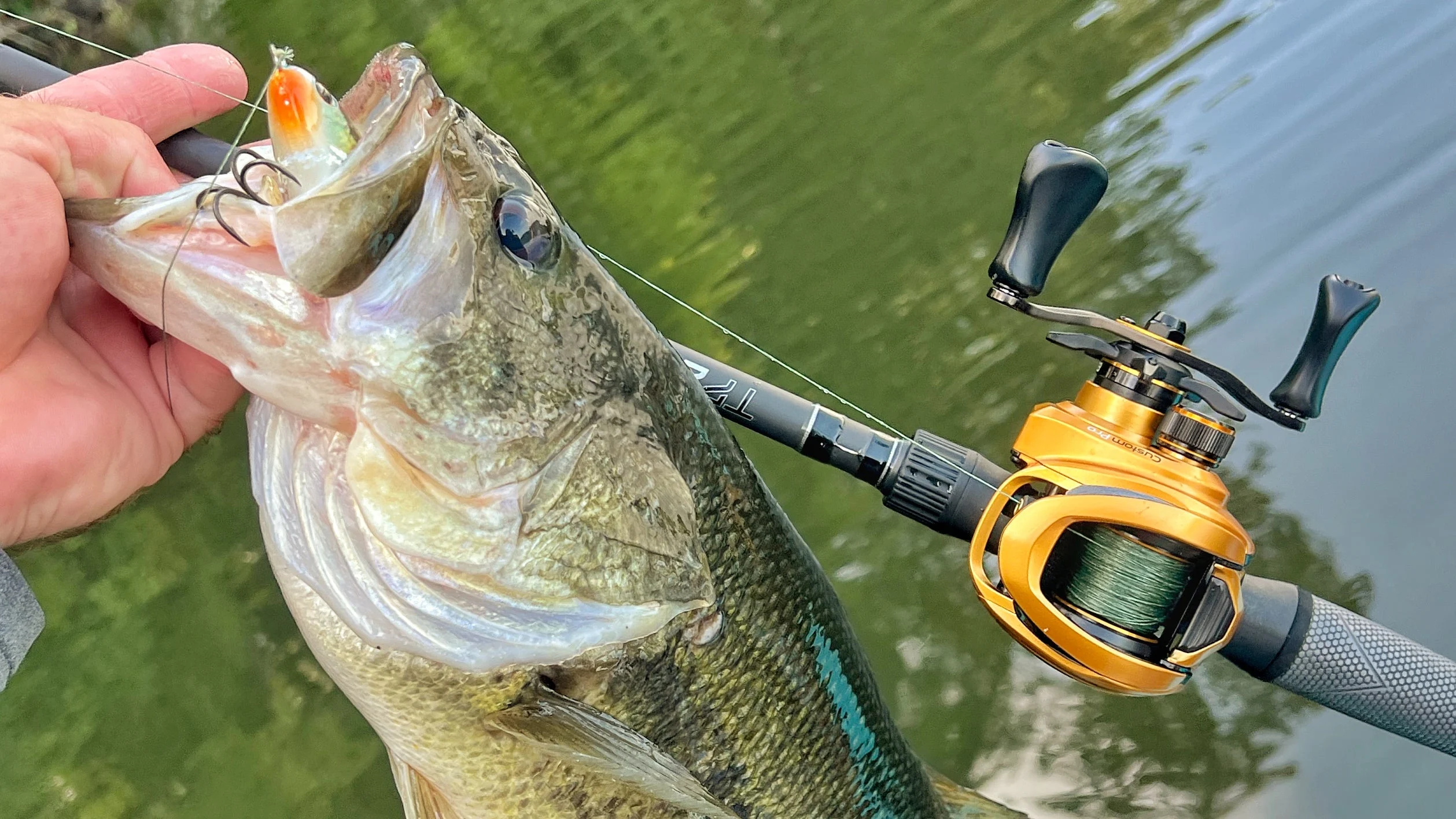 The author with a nice bass caught while testing the new