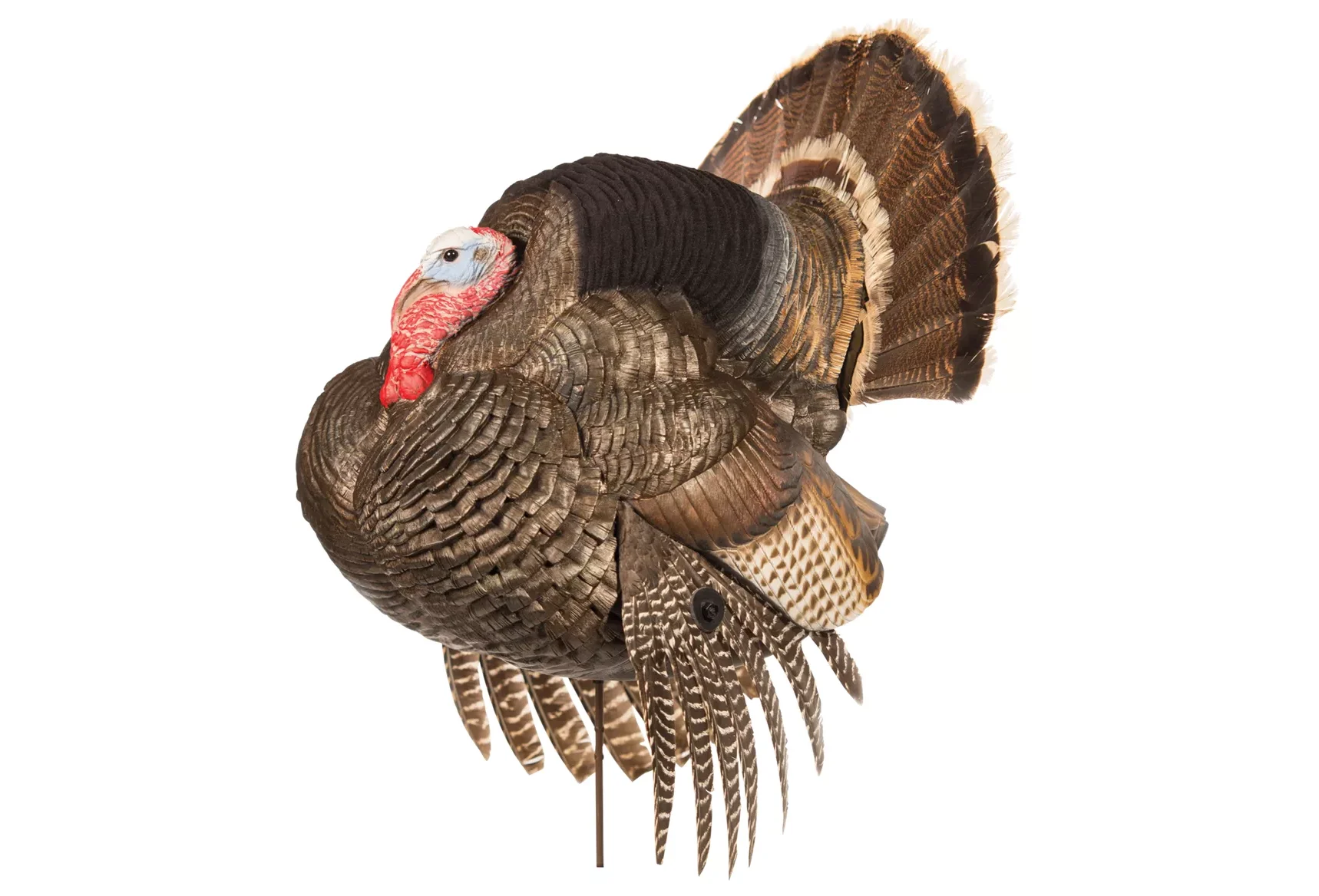 https://www.cabelas.com/shop/en/Dave-Smith-Decoys-Strutter-Turkey-Decoy?ds_e=GOOGLE&amp;ds_c=Nb%7CGeneric%7CHunting%7CDSA&amp;gclid=CjwKCAjw9qiTBhBbEiwAp-GE0aAK9kaX9kZep6R4FLkODCz81nD3b9vqOy-LxkDFrY5Z_gHgndWxjRoCG6YQAvD_BwE&amp;gclsrc=aw.ds