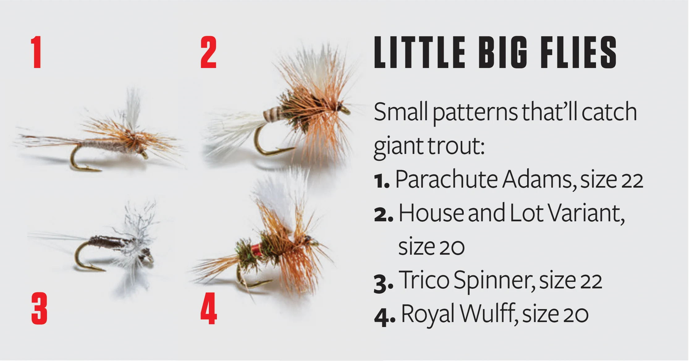 Graphic showing four dry-fly patterns to use during a Trico hatch.